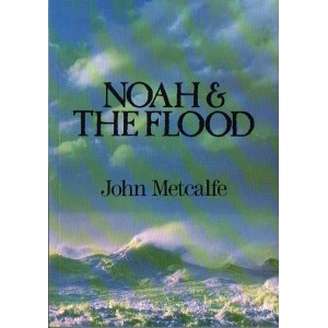 Noah And The Flood By John Metcalfe